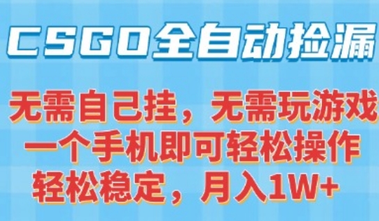 CSGO自动捡漏项目，最新独家玩法，一个手机可操作，新手小白轻松月入1W+，操作简单易上手【揭秘】-星星网